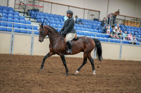 2020 - AB Morgan Horse - Sat, Sept 05 - 09311
