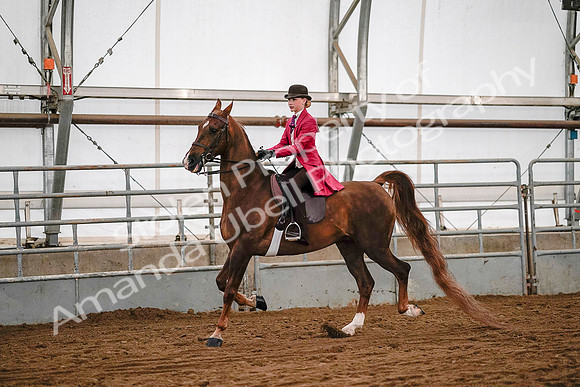 July 19, 2019 - 8724