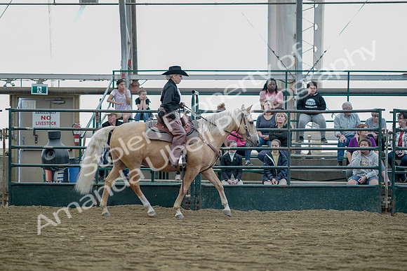 July 21, 2019 - 06856