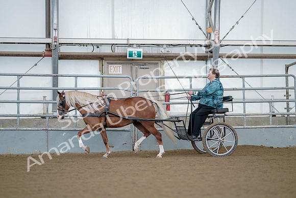 July 21, 2019 - 06802