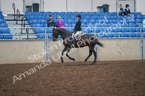 2019 Morgan Horse Show - Aug 30, 2019 - 20563