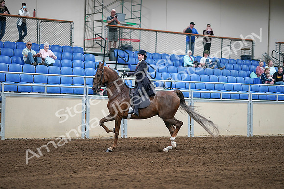 2020 - AB Morgan Horse - Sat, Sept 05 - 06207