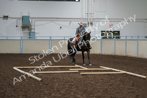 2020 - AB Morgan Horse - Fri, Sept 04 - 00366