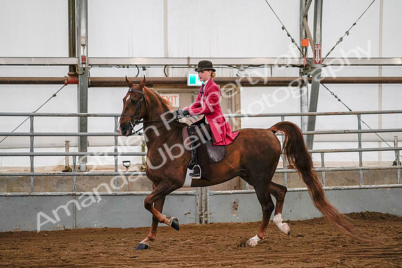 July 19, 2019 - 8742