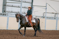 2020 - AB Morgan Horse - Sun, Sept 06 - 01538