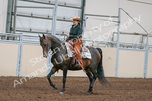 2020 - AB Morgan Horse - Sun, Sept 06 - 01538