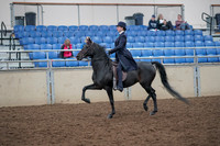 2019 Morgan Horse Show - Aug 31, 2019 - 18009