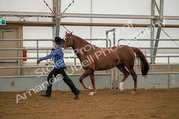 July 19, 2019 - 1287
