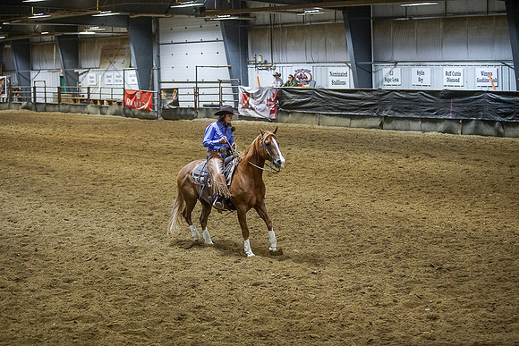 DSC01816