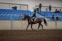 2019 Morgan Horse Show - Aug 31, 2019 - 05548