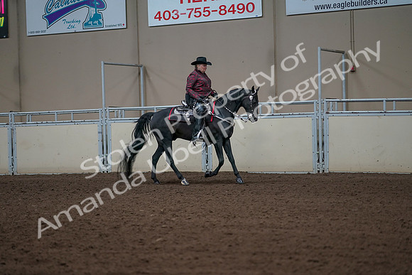 2019 Morgan Horse Show - Aug 31, 2019 - 10708