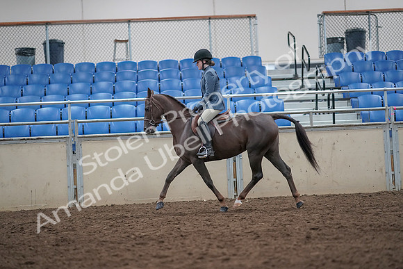 2019 Morgan Horse Show - Aug 31, 2019 - 16627