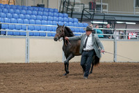 2020 - AB Morgan Horse - Sat, Sept 05 - 00240