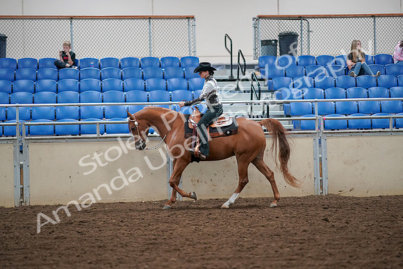 2019 Morgan Horse Show - Aug 30, 2019 - 16847
