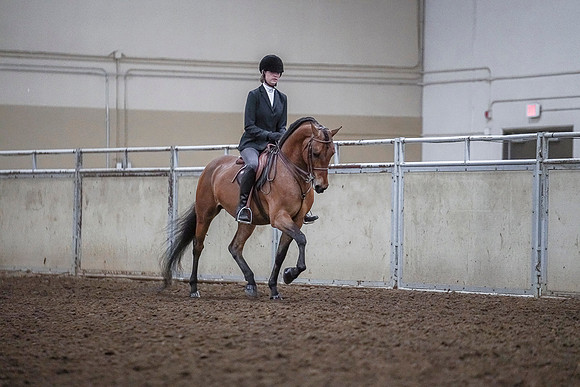 Spring Fling - Saturday - April 20, 2019  -  03806