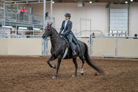 2020 - AB Morgan Horse - Sun, Sept 06 - 08287