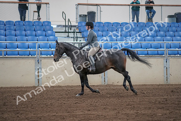 2019 Morgan Horse Show - Sept 01, 2019 - 10998_1