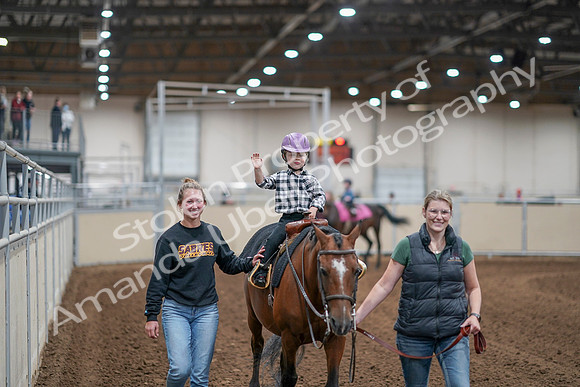 2020 - AB Morgan Horse - Sat, Sept 05 - 10078