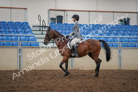 2019 Morgan Horse Show - Aug 30, 2019 - 23366