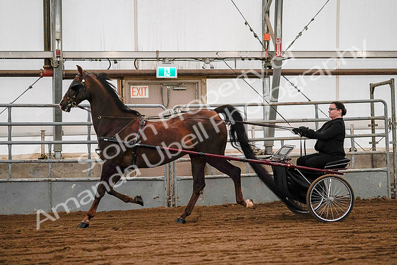July 19, 2019 - 7043