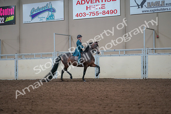 2019 Morgan Horse Show - Aug 30, 2019 - 18002