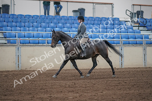2019 Morgan Horse Show - Sept 01, 2019 - 10929_1