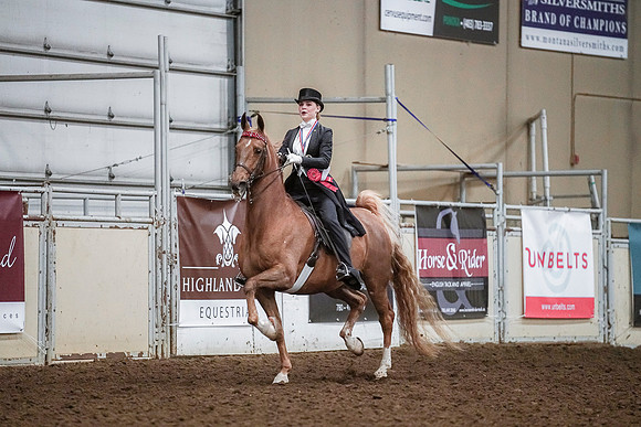 Spring Fling - Saturday - April 20, 2019  -  04453