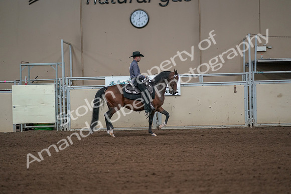 2019 Morgan Horse Show - Aug 31, 2019 - 06178
