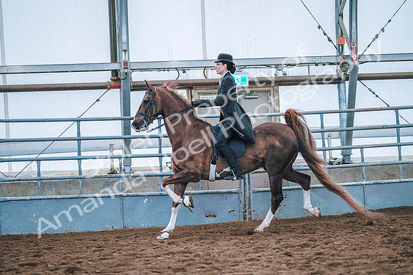 July 20, 2019 - 23848