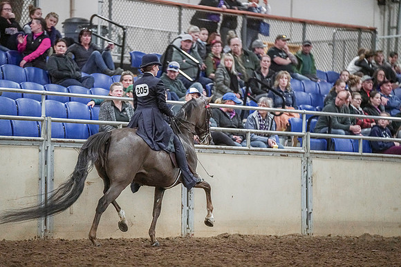 Spring Fling - Saturday - April 20, 2019  -  04282