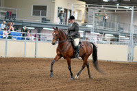 2020 - AB Morgan Horse - Fri, Sept 04 - 02230