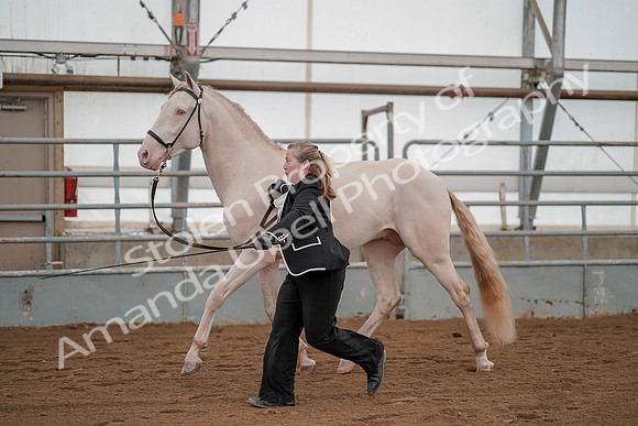 July 19, 2019 - 1328