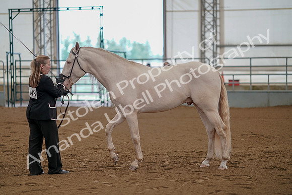July 19, 2019 - 332