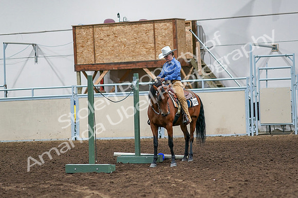 2020 - AB Morgan Horse - Fri, Sept 04 - 00131