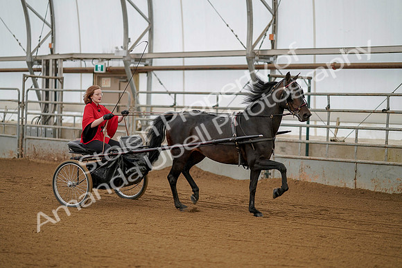 July 20, 2019 - 00226