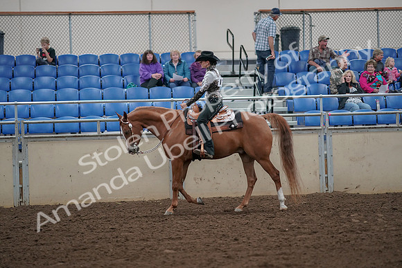 2019 Morgan Horse Show - Aug 30, 2019 - 25877