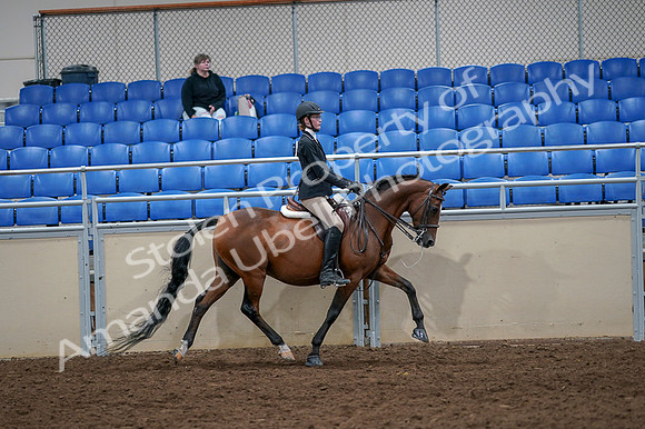 2020 - AB Morgan Horse - Fri, Sept 04 - 06132