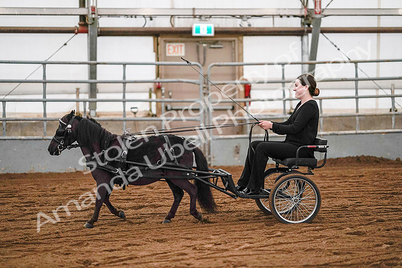 July 19, 2019 - 7031