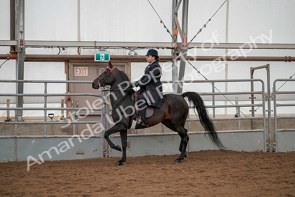 July 20, 2019 - 04203