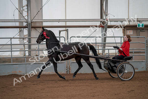 July 20, 2019 - 00325