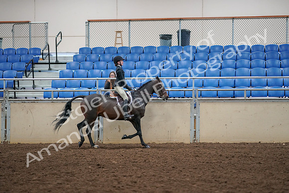 2019 Morgan Horse Show - Aug 30, 2019 - 12428