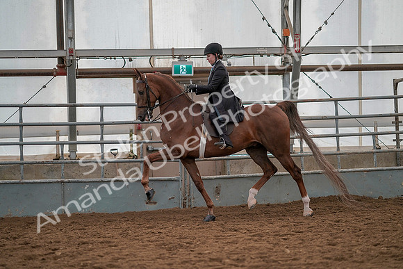 July 19, 2019 - 12960