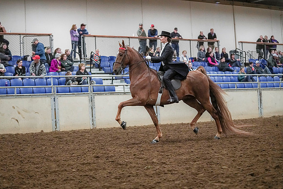 Spring Fling - Saturday - April 20, 2019  -  04108