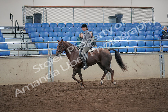 2019 Morgan Horse Show - Aug 31, 2019 - 07322