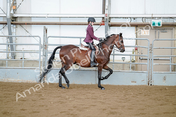 July 21, 2019 - 03384