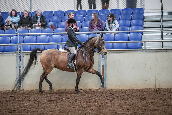 Spring Fling - Saturday - April 20, 2019  -  03848