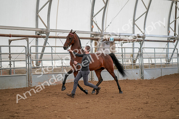 July 19, 2019 - 1162