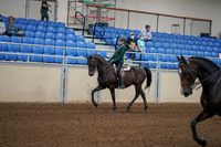 2020 - AB Morgan Horse - Fri, Sept 04 - 03944