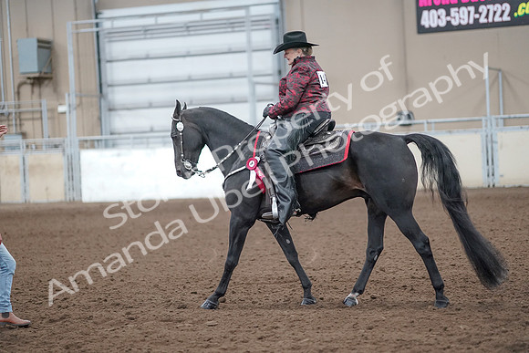 2019 Morgan Horse Show - Aug 31, 2019 - 10829