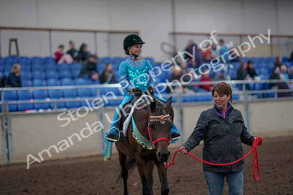 2019 Morgan Horse Show - Aug 31, 2019 - 09952